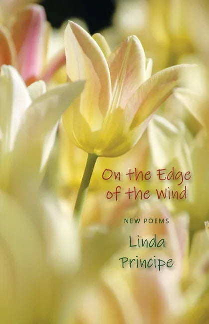 On the Edge of the Wind - Paperback