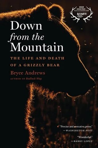 Down from the Mountain: The Life and Death of a Grizzly Bear - Paperback