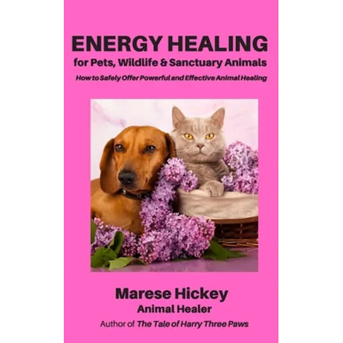 Energy Healing for Pets, Wildlife & Sanctuary Animals: How to Safely Offer Powerful and Effective Animal Healing - Paperback