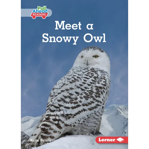 Meet a Snowy Owl - Paperback