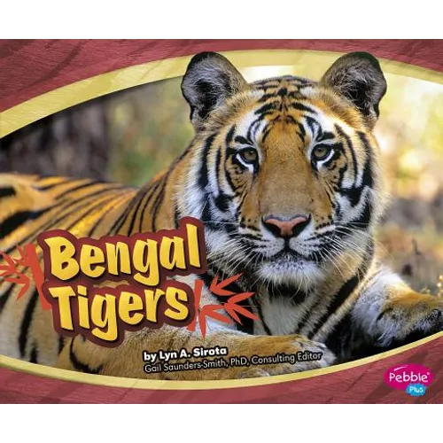Bengal Tigers - Paperback