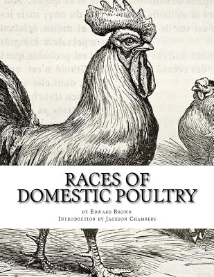 Races of Domestic Poultry: A Guide to Poultry Breeds - Paperback