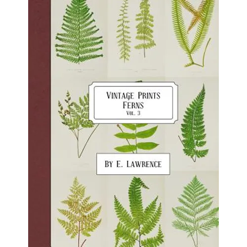 Vintage Prints: Ferns: Vol. 3 - Paperback