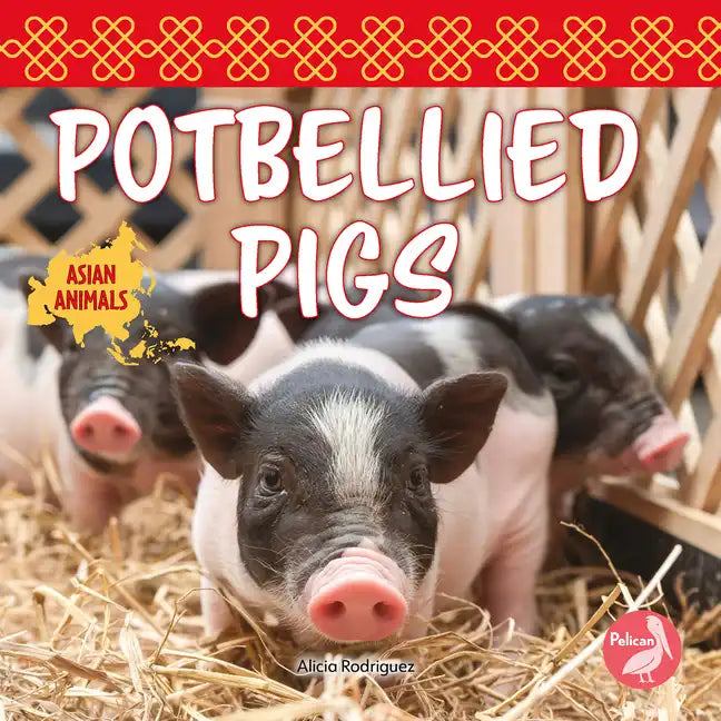 Potbellied Pigs - Paperback