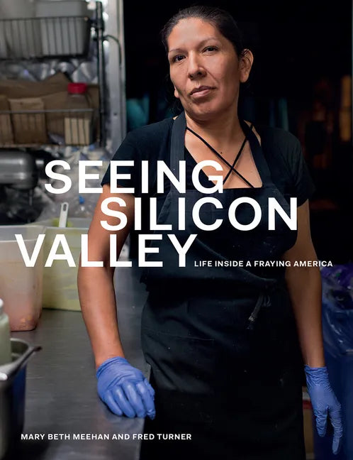 Seeing Silicon Valley: Life Inside a Fraying America - Paperback