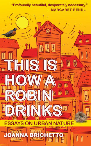 This Is How a Robin Drinks: Essays on Urban Nature - Paperback