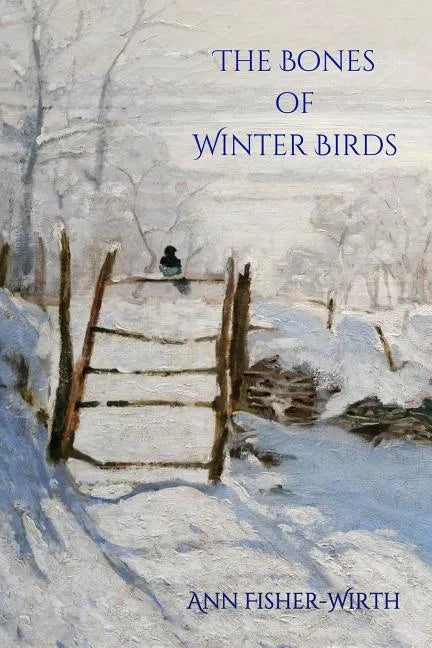 The Bones of Winter Birds - Paperback