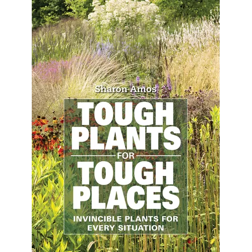 Tough Plants for Tough Places: Invincible Plants for Every Situation