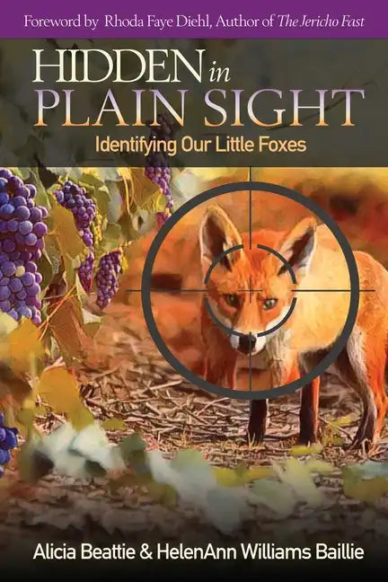 Hidden in Plain Sight - Paperback