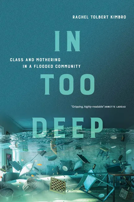 In Too Deep: Class and Mothering in a Flooded Community - Paperback