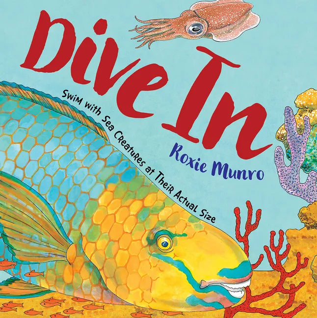 Dive in: Swim with Sea Creatures at Their Actual Size - Paperback