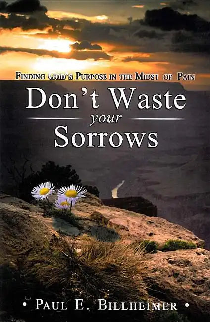 Don't Waste Your Sorrows - Paperback