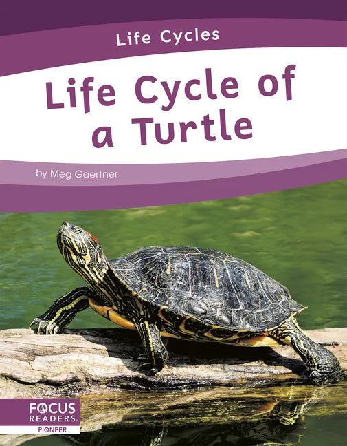 Life Cycle of a Turtle - Paperback
