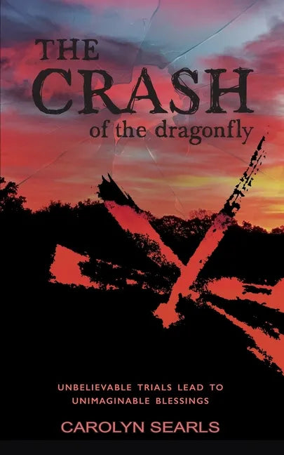 The Crash of the Dragonfly: Unbelievable Trials Lead to Unimaginable Blessings - Paperback