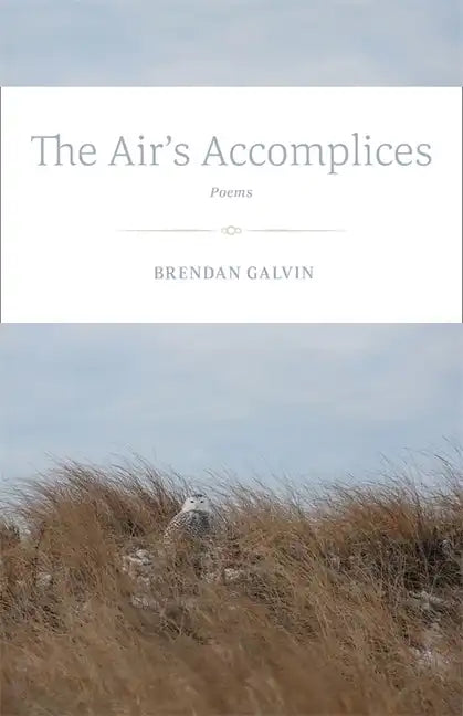 The Air's Accomplices: Poems - Paperback