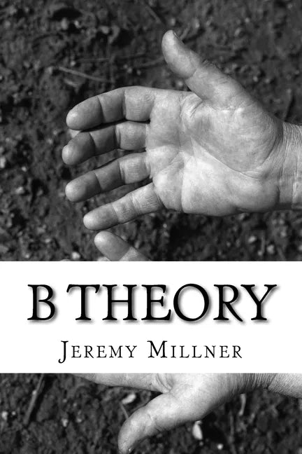 B Theory - Paperback