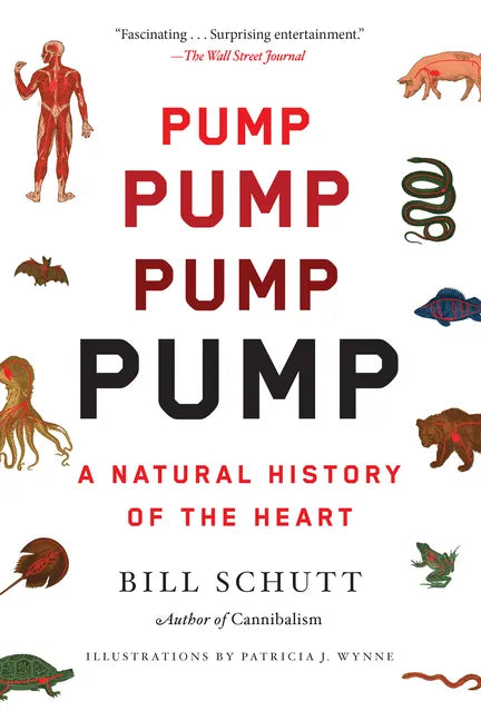 Pump: A Natural History of the Heart - Paperback