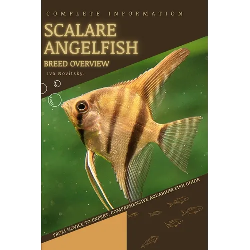 Scalare Angelfish: From Novice to Expert. Comprehensive Aquarium Fish Guide - Paperback