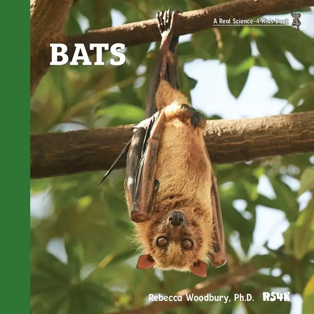 Bats - Paperback