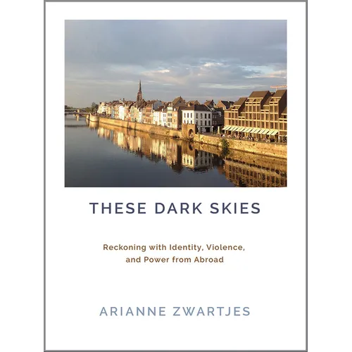These Dark Skies: Reckoning with Identity, Violence, and Power from Abroad - Paperback