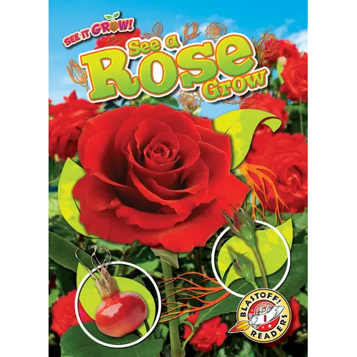 See a Rose Grow