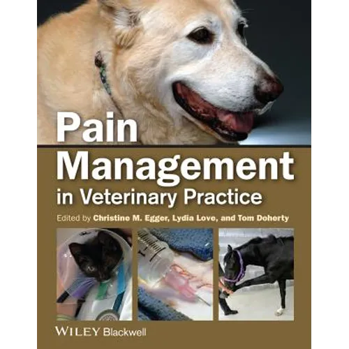 Pain Mgmt Small Animal Vet Pra - Paperback