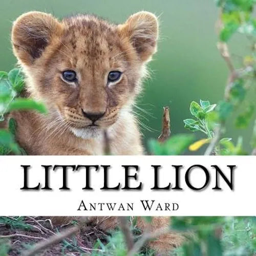 Little Lion - Paperback