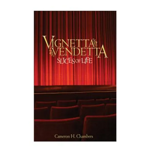 Vignetta Vendetta Slices of Life - Paperback