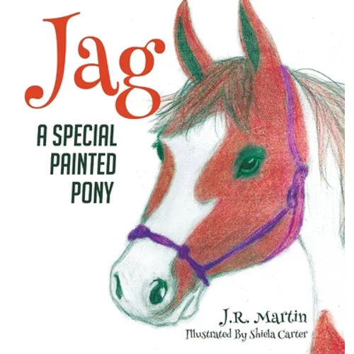 Jag: A Special Painted Pony - Hardcover