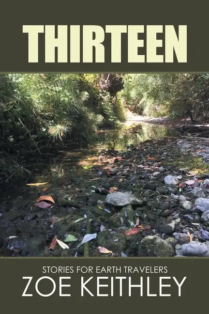 Thirteen: Stories for Earth Travelers - Paperback