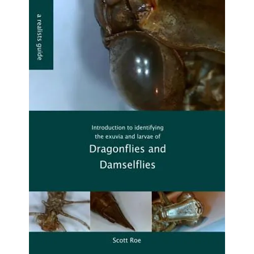 Introduction to identifying the exuvia and larvae of Dragonflies - Paperback