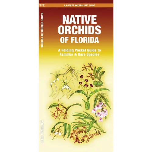 Native Orchids of Florida - Paperback