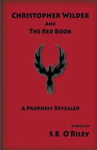 Christopher Wilder And The Red Book - Paperback