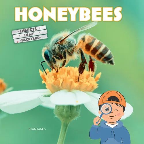 Honeybees - Paperback