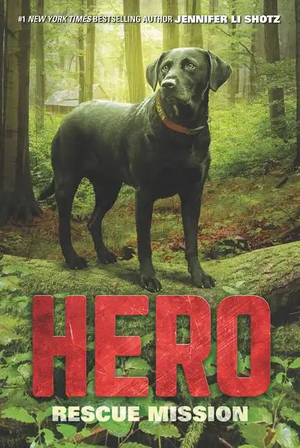 Hero: Rescue Mission - Paperback