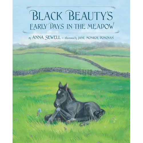 Black Beauty's Early Days in the Meadow - Hardcover