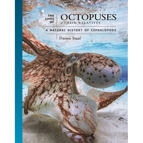 The Lives of Octopuses and Their Relatives: A Natural History of Cephalopods - Hardcover