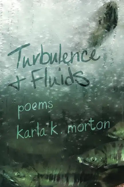 Turbulence & Fluids: poems - Paperback