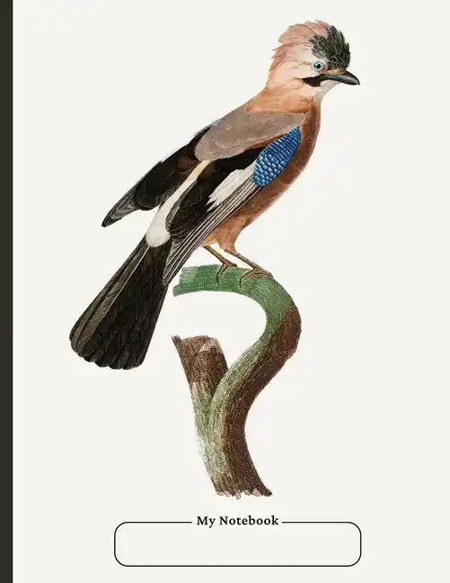 Cornell Notebook, college ruled, with dot grid note-taking area, 100 pages, large size 8.5 x 11, with Table of Contents - Paperback