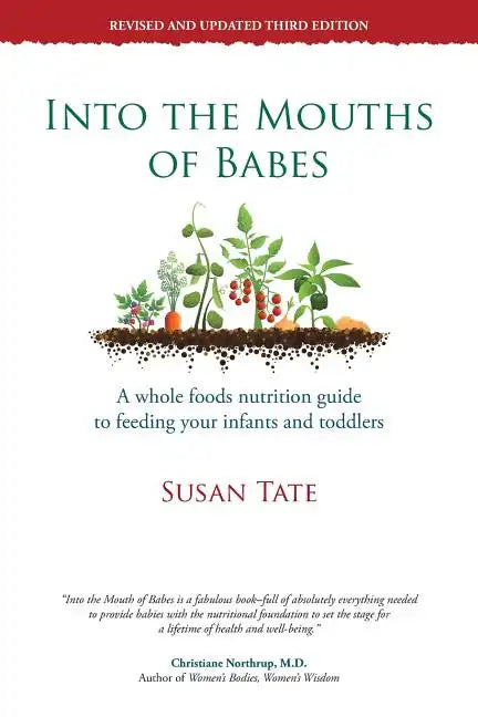 Into the Mouths of Babes: A Whole Foods Nutrition Guide to Feeding Your Infants and Toddlers - Paperback