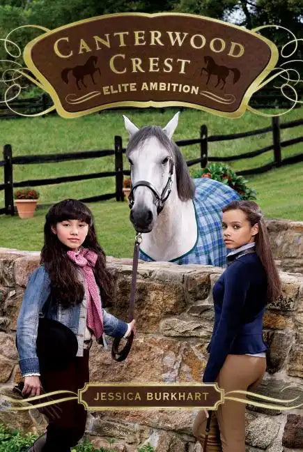 Elite Ambition - Paperback