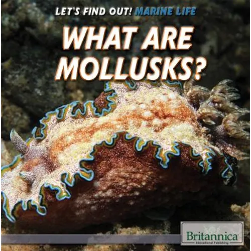 What Are Mollusks? - Library Binding