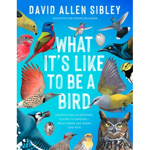 What It's Like to Be a Bird (Adapted for Young Readers): From Flying to Nesting, Eating to Singing--What Birds Are Doing and Why - Hardcover