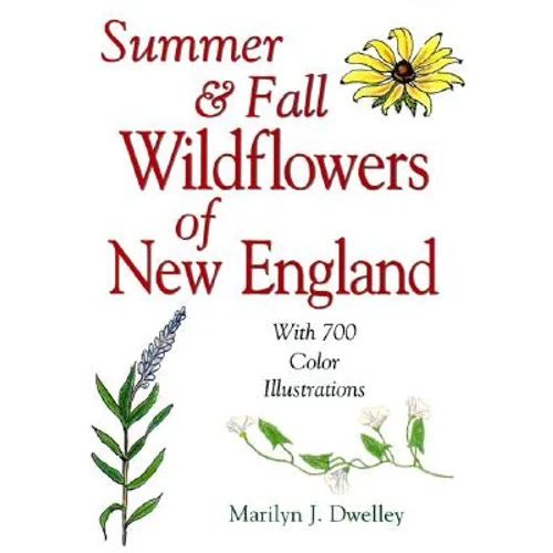 Summer & Fall Wildflowers of New England - Paperback