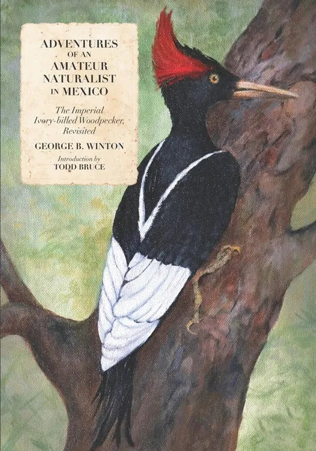 Adventures of an Amateur Naturalist in Mexico: The Imperial Ivory-billed Woodpecker, Revisited - Paperback