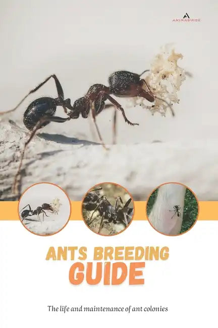 Ants breeding guide: The life and maintenance of ant colonies - Paperback