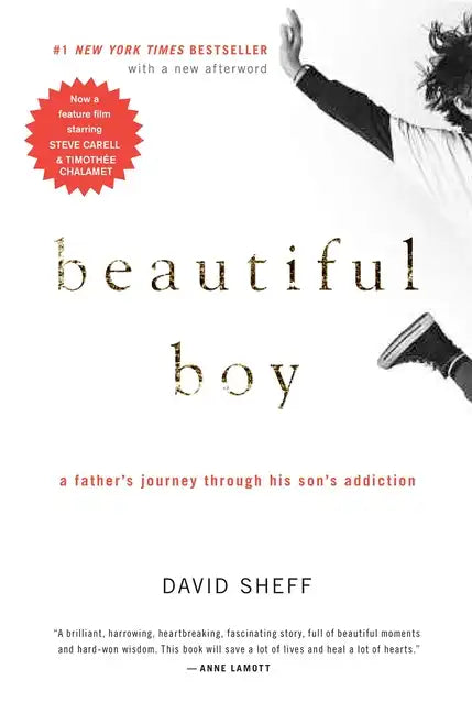 Beautiful Boy: A Father's Journey Through His Son's Addiction - Hardcover