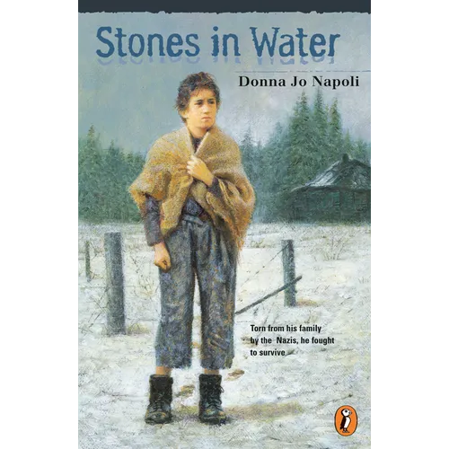 Stones in Water - Paperback