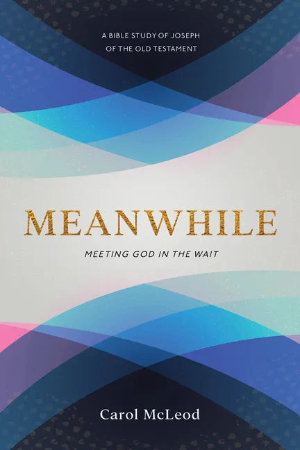Meanwhile: Meeting God in the Wait: Meeting God in the Wait - Paperback