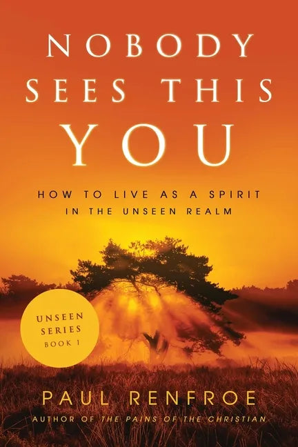 Nobody Sees This You: How to Live as a Spirit in the Unseen Realm - Paperback